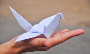 חוג אוריגמי