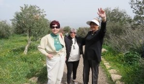 %d7%98%d7%99%d7%95%d7%9c-%d7%91%d7%9e%d7%92%d7%93%d7%9c%d7%99-%d7%94%d7%99%d7%9d-%d7%94%d7%aa%d7%99%d7%9b%d7%95%d7%9f-%d7%91%d7%91%d7%aa-%d7%99%d7%9d