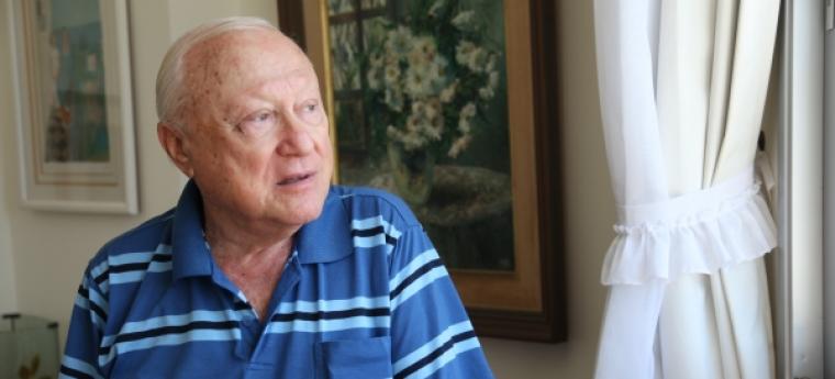 גרינברג תצוגה