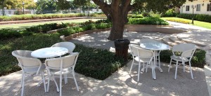 חצר דיור מוגן בנורדיה