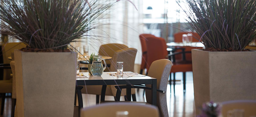 דיור מוגן ברמת השרון, מגדלי הים התיכון