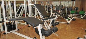 בריאות הגוף