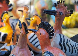 מיזם "ציפורי גיל"