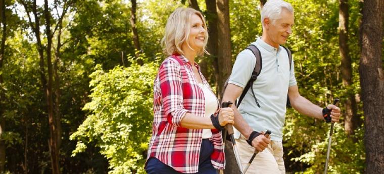 מטיילים במגדלים